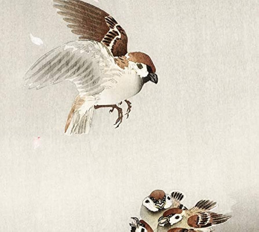 Amazon.co.jp: 小原古邨 桜吹雪に雀の親子 版画 原寸サイズ 46×25.5 Amazon.co.jp: 小原古邨 桜吹雪に雀の親子 版画 原寸サイズ 46×25.5