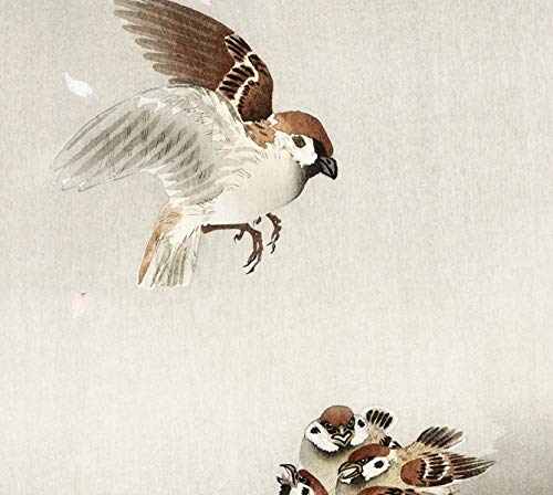 Amazon.co.jp: 小原古邨 桜吹雪に雀の親子 版画 原寸サイズ 46×25.5
