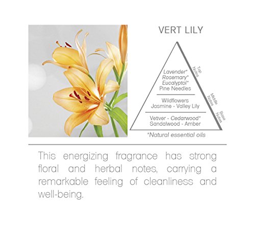 Difusor Acqua Aroma Vert Lily 100ml miniatura 6