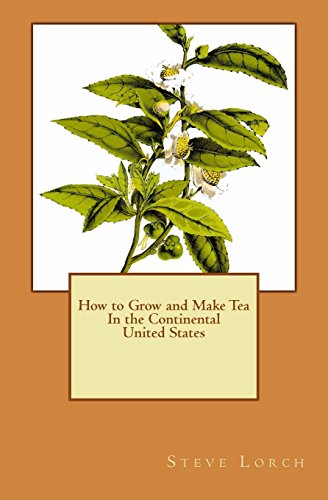 How to Grow and Make Tea In the Continental United States