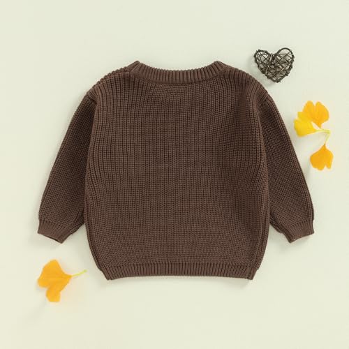 Big Brother Little Brother Matching Sweaters Toddler Boy Letter Crewneck Knitted Pullovers Tops Kids Fall Outfit (Big Brohter Sweater Brown,18-24 Months)4