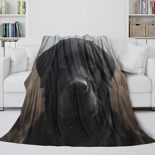 Couverture polaire chien noir 150x200 cm microfibre lit - 6