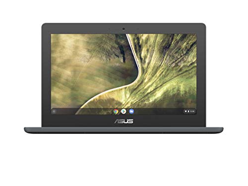 Ordenadores Portatiles Asus ASUS Chromebook C204MA-GJ0342 - Portátil 11.6' HD (Celeron N4020, 4GB RAM, 32GB eMMC, UHD Graphics 600, Chrome OS) Gris -...