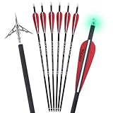 KEAUP 20 inch Carbon Crossbow Bolts with Crossbow Broadheads and Lighted Nocks, 6 Pack Hunting Carbon Crossbow Arrows for Archery Practice and Hunting
