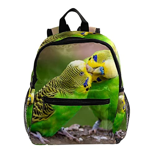 Mochila de hombro para niños pequeños que alivia el peso escolar con diseño de Love Birds