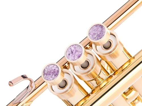 �w�r�[�g�����y�b�g �J�X�^���t�B���K�[�{�^�� Yamha (All YTR) Stomvi/Shagerl Carol Brass Fides Trumpets Yamaha flugelhorn 631/731 Yamaha Cornet���f���p (���[