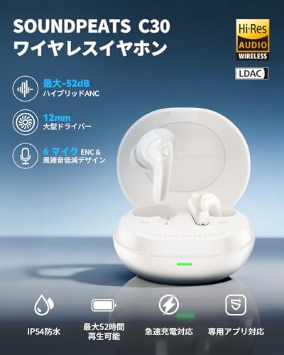 SOUNDPEATS C30 ノイズキャンセリング ワイヤレスイヤホン 商品画像2