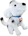 MerryMakers How Rocket Learned To Read Plush Doll, 9-Inch