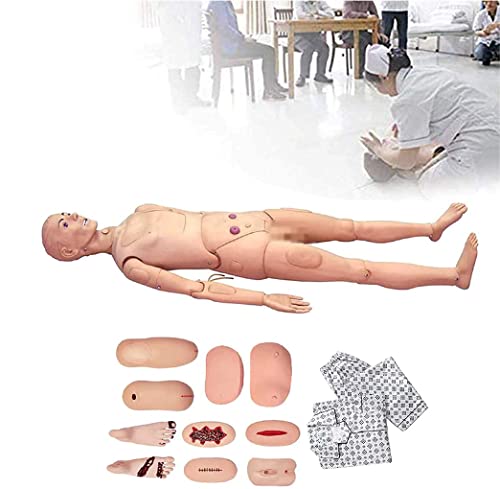 UWYTGF Teaching Model,Multifunction Nursing Staff Training Model Human Body Model Real Male Nursing Training Model Doll Model Medical Training Joint Medical Learning Laboratory 170?