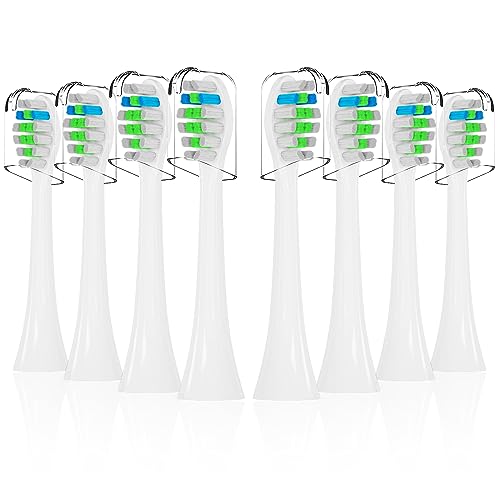 Top 10 Best Sonicare C2 Brush Heads Reviews And Buying Guide Glory
