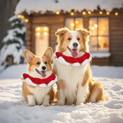 Veasbuu qpNX}XJ[ - ybgLp jlbNEFA | Lk xt NX}X ybg  nCLO g[jO O z[ tFXeBo xp