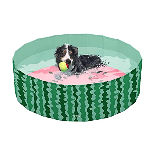 AQPET AqpetFriends Piscina in plastica per Cane Animali...