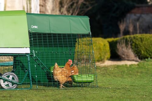 Image of Omlet Raised Chicken Coop Go Up | Easy to Clean and Maintain Plastic Chicken Tractor | Cool in Summer, Warm in Winter Weatherproof Hen House | Green Coop with 6ft Run