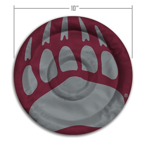 Image of YouTheFan NCAA Montana Grizzlies Flimzee Bean-Bag Flying Disc