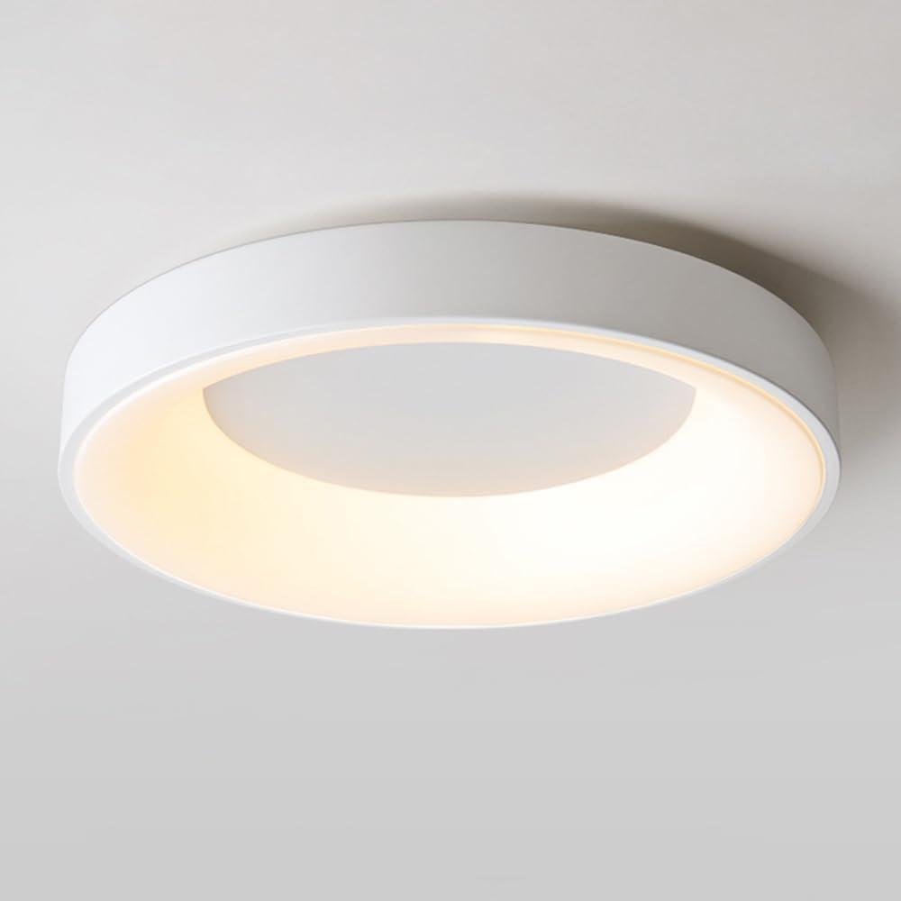 HXYSXHJUO LED Flush Mount Ceiling Light 48W Dimmable Chandelier with Remote, 19in Round Close to Lights Fixture for Bedroom Living Room Dining Home Decor Lighting