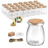 30 Pack Glass Favor Mini Jars, 3.4 oz Small Jars with Cork Lids, Pudding Containers with Lids, Apothecary, Candle Making with Fun, Gift for Candy, Wedding Favors Honey Pot, with Label Tags and String