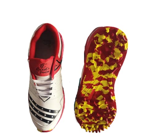 Buy Sports World Professional lordstown Cricket Shoes White at Amazon.in
