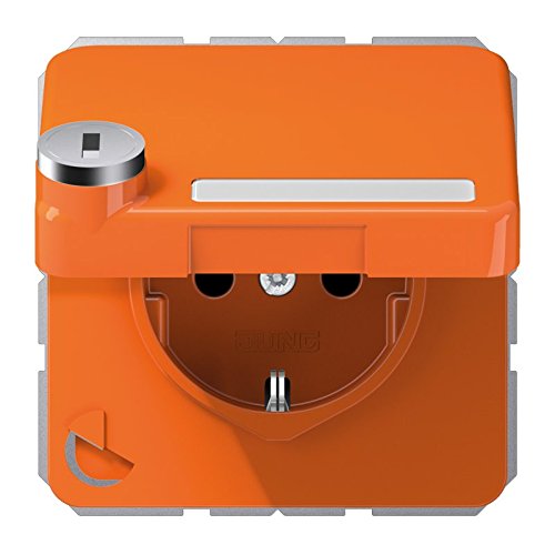 Prise Schuko 16 A 250 V Jung CD 1520 NAKLSL O raccordement de sécurité