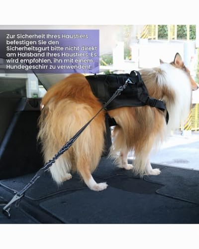 AUBELL Anschnallgurt Hund Auto,3-in-1 Bungee Hundegurt fürs Auto,Schwarz
