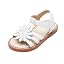 Pc24-white