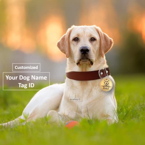 Image of Leather Dog Collar Belt with Name tag id Customized for Large Medium Small Dogs Neck Collar with Personalized Dog Name (Leather) (Large Dogs)