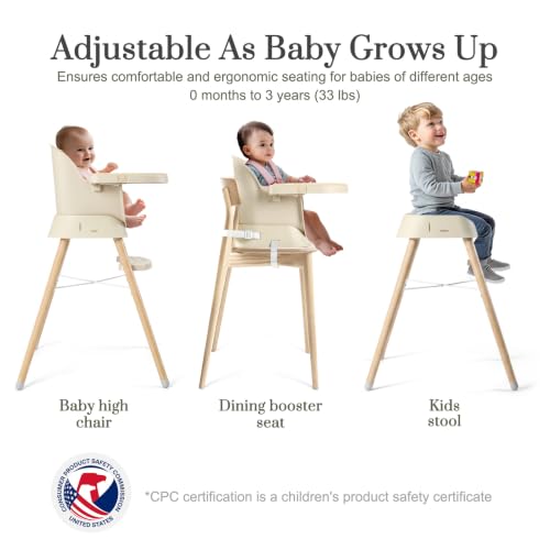 Image of Mallify 6 in 1 Convertible Baby High Chair with Removable Double Tray | Adjustable Infant Booster Seat, Steel Frame, Highchairs for Babies and Toddlers with 5-Point Harness, Easy to Clean & Install