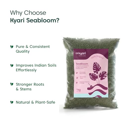 Image of Kyari Seaweed Extract Granules 1 KG - Organic Seaweed Fertilizer for All Plants, SeaBloom Plant Food for Indoor Plants, Outdoor Plants, Vegetables, Flowers & Home Garden