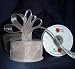 Sheer Organza Ribbon 1-1/2 inch 25 Yards Ivory, 30 more Colors
