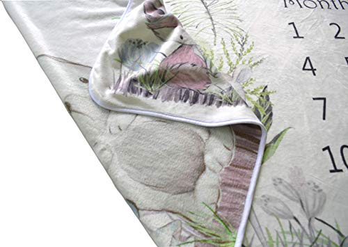 Woodland Friends Double Sided Baby Milestone Monthly Blanket, Forest Photo Prop Boy & Girl, Large Soft 310 Gsm Fleece Blanket For Animal Nursery And Baby Registry/Shower #TOP4