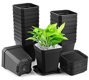 Yilyln Anzuchttöpfe 7x7x8cm mit Untersetzer, 20 Stück