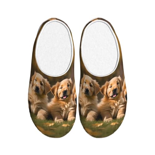 Chaussons d'hiver EdWal Golden Retriever peluche noire en taille 39