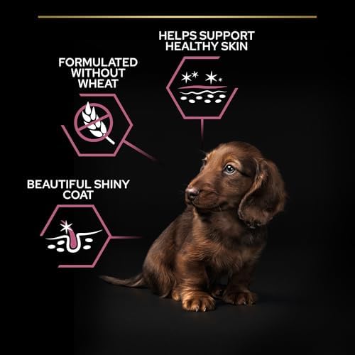 Pro Plan Small & Mini Adult Somonlu Köpek Maması 3 kg - Görsel 6