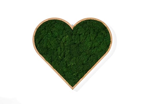 WandMagie Image en forme de cœur en véritable mousse d'Islande vert foncé avec cadre I Grande image végétale (50 cm x 54 cm) en forme de cœur avec mousse verte conservée