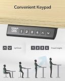 HUANUO Standing Desk Frame with Brushless Motor - 7