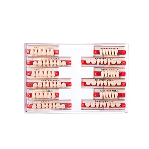 Image of Easyinsmile Dental Synthetic Resin Teeth A2 A3 False Upper Lower Teeth Replacement Dentures for Halloween (A3, Full Set 438+U38+32)