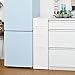 JEJ ASTAGE Gap Storage, Kitchen Storage, Recay, Middle Stocker, Made in Japan, Complete Product, S2M1L, 1-Tier, Coro, All White, Width 10.2 x Depth 15.7 x Height 33.5 inches (26 x 40 x 85 cm)