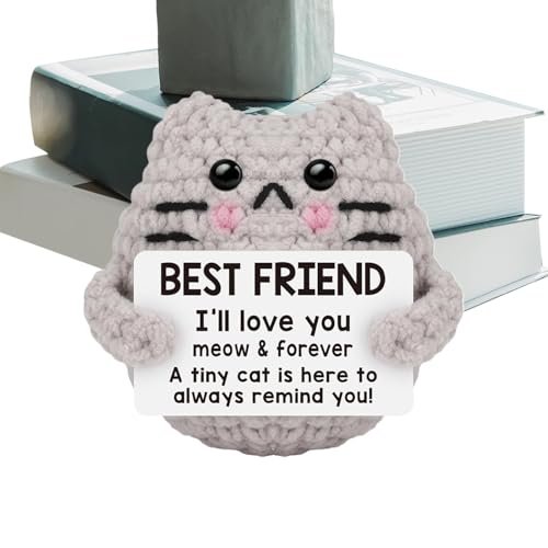 Gatto positivo fatto a mano – Mini peluche per sostenere emotivamente | Regalo ispiratore antistress per donne, ragazze, adolescenti e amici, graziosa decorazione da scrivania a maglia con animali
