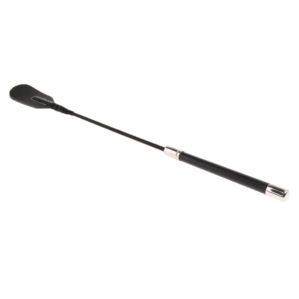 Fouet Cravache Chien Dressage 45cm