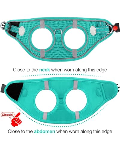 Joytale Hundegeschirr, Reflektierend Weich Gepolstert Hunde Geschirr, Air-Mesh Atmungsaktiv Brustgeschirr für Kleine Mittelgroße Hunde, M, Türkis