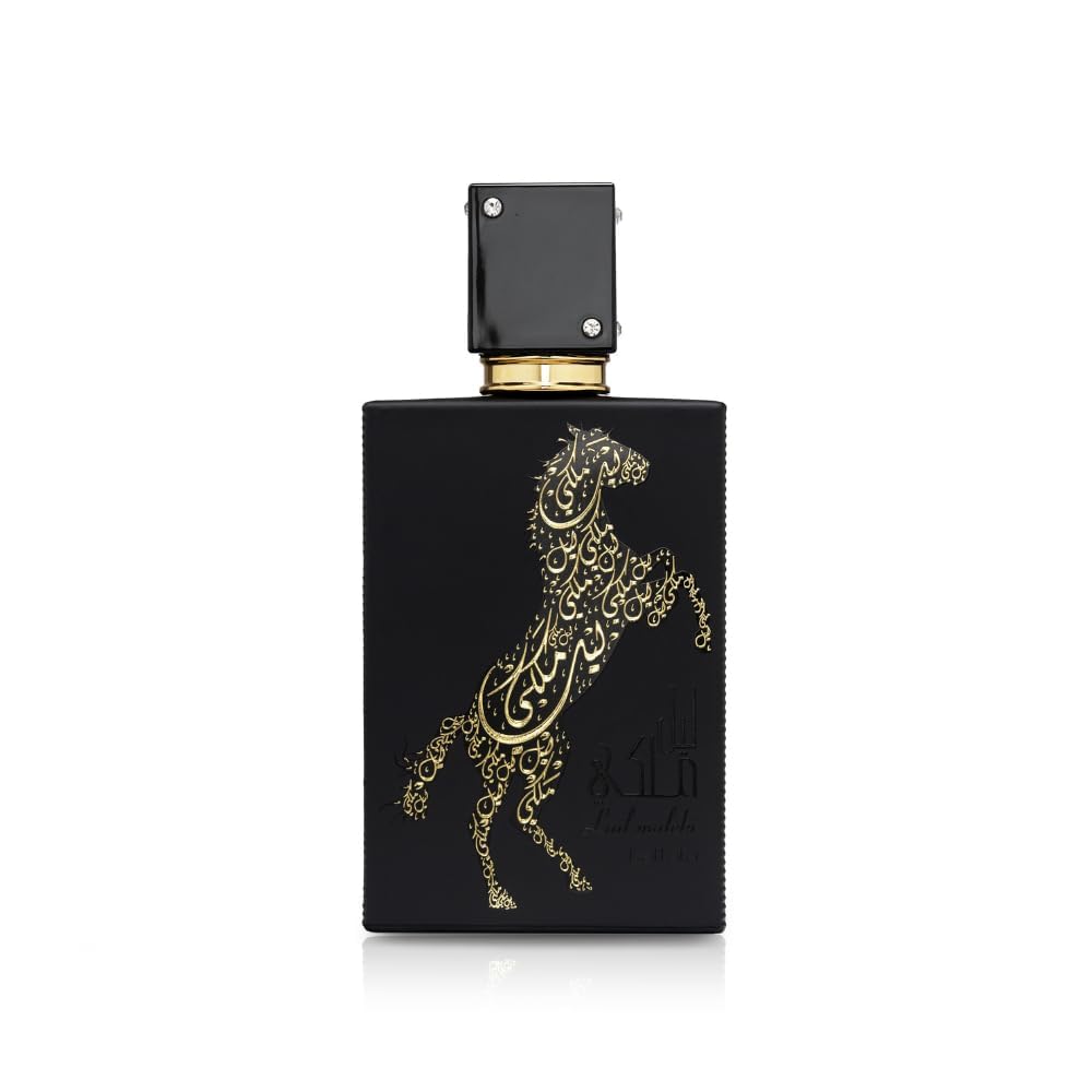 META-BOSEM Monsier Blue for Men Cologne Fresh Fragrance, Eau de Parfum Natural Spray - Woody and Aromatic Scent - Holiday Gift, 3.4 Fl Oz/100 Ml