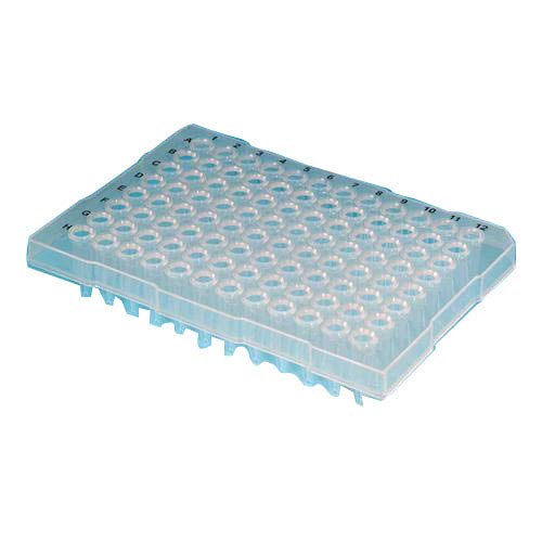 Thomas PCP096-HS-SP/TH MicroFlex 96-Well PCR Plate, Half-Skirt, 0.2 mL Volume, Flat-Top, Cut at A12, Clear (Pack of 100)