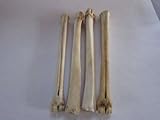 1 DEER LEG BONE TAXIDERMY KNIFE HANDLE CRAFT ANIMAL BONES