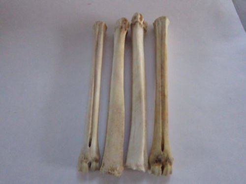 BOSS Men's Balwinno Reversible Leather Belt, Navy/White, One Size