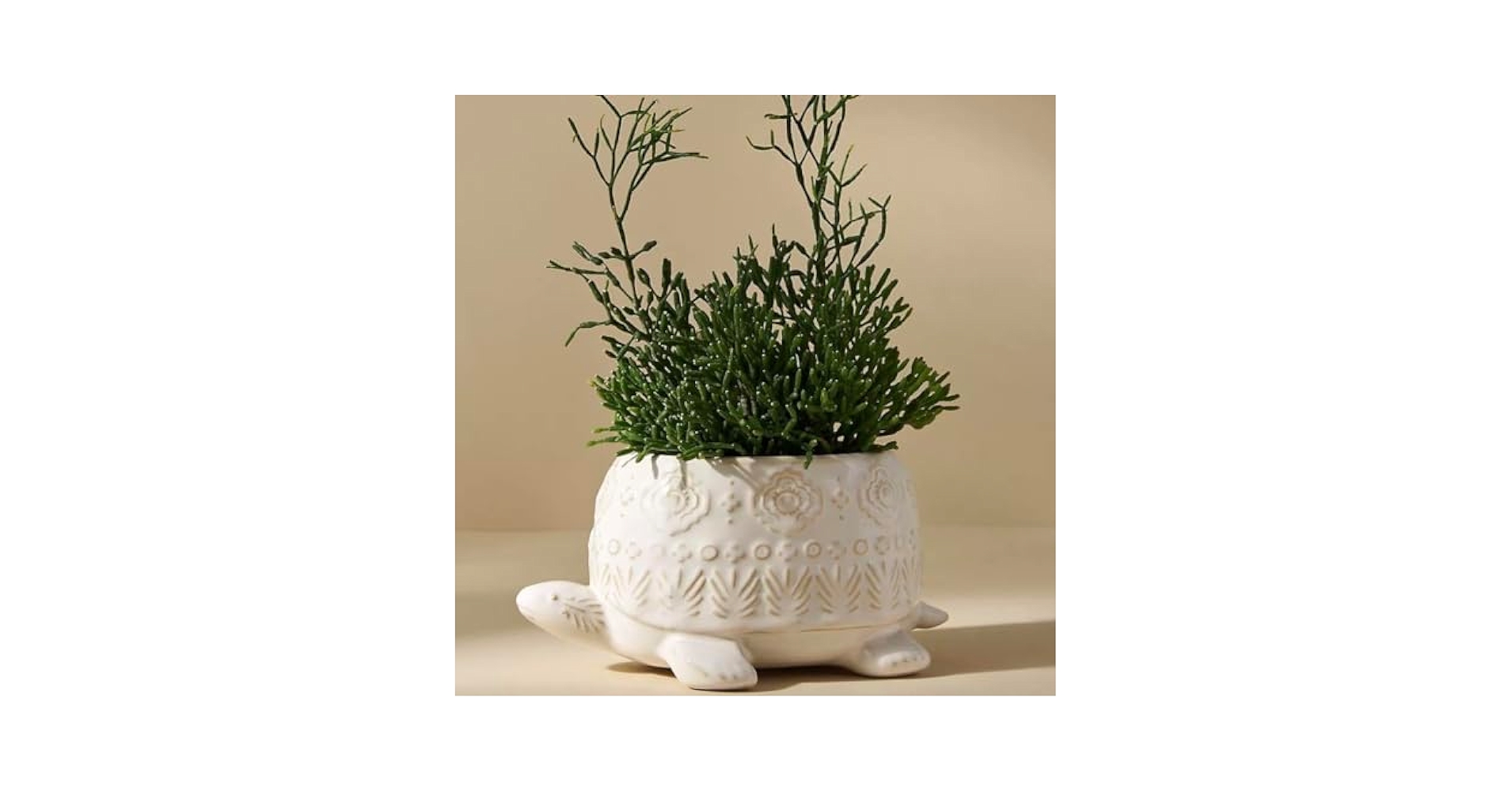 アンソロポロジー プランター タートル 植木鉢 ガーデニング 観葉植物