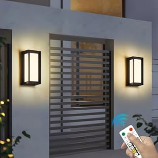 ZOOPEEN 2 Pack Remote Control Outdoor Wall Lamp Porch Lights,3 Color Modern Exterior Lighting Fixtures,24WOutdoor Waterproof for Front Porch Light,LED Wall Mount Outside Lights for House,Garage