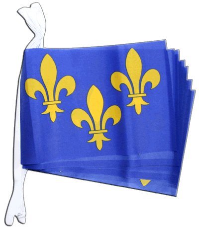 Guirlande drapeau France Île de France 5,9 m : ne cherchez plus vos décors de fête