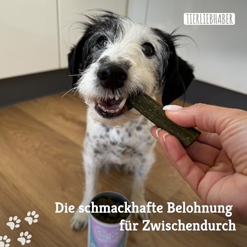 TIERLIEBHABER – Zahnfee Dental Sticks Hund Zahnsteinentferner – Hundeleckerlies zur Hunde Zahnpflege – Von Tierärzten entwickelt – Gegen Mundgeruch & Zahnbelag – 13 Natürliche Dental Kaustangen Hund