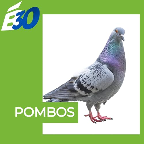 Pombos