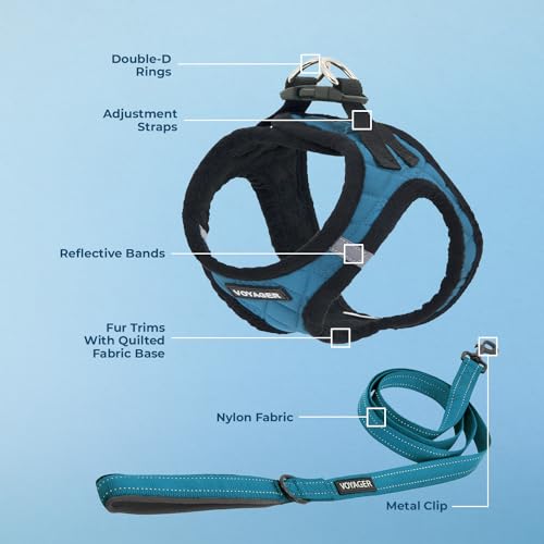 Image of Voyager Step-in Plush Dog Harness - Soft Plush, Step in Vest Harness and Reflective Dog 5 ft Leash Combo with Neoprene Handle for Small and Medium Dogs by Best Pet Supplies -Set (Turquoise Plush), XS