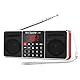 PRUNUS J-288 Tragbar AM(MW) UKW FM Bluetooth USB SD TF Radio MP3 mit Doppelmagnet Lautsprechern Stereo Sound AUX und Sleep Timer Funktion